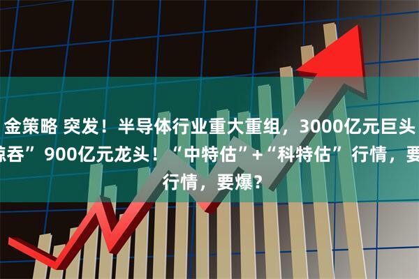 金策略 突发！半导体行业重大重组，3000亿元巨头 “鲸吞” 900亿元龙头！“中特估”+“科特估” 行情，要爆？