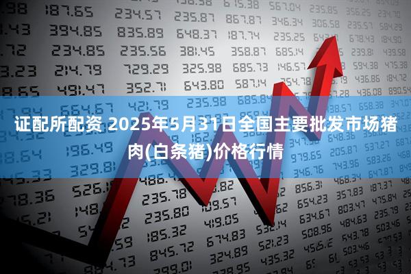 证配所配资 2025年5月31日全国主要批发市场猪肉(白条猪)价格行情
