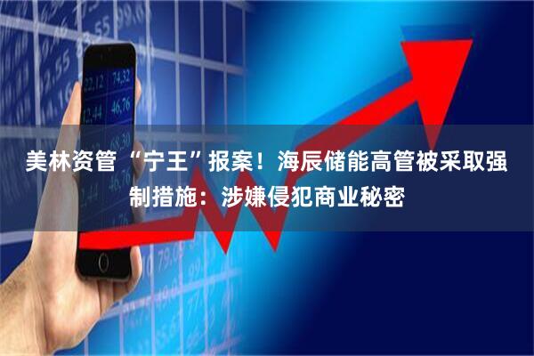 美林资管 “宁王”报案！海辰储能高管被采取强制措施：涉嫌侵犯商业秘密