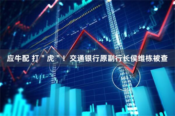 应牛配 打＂虎＂！交通银行原副行长侯维栋被查